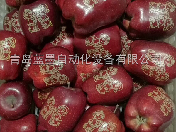 上海蘋果印字機